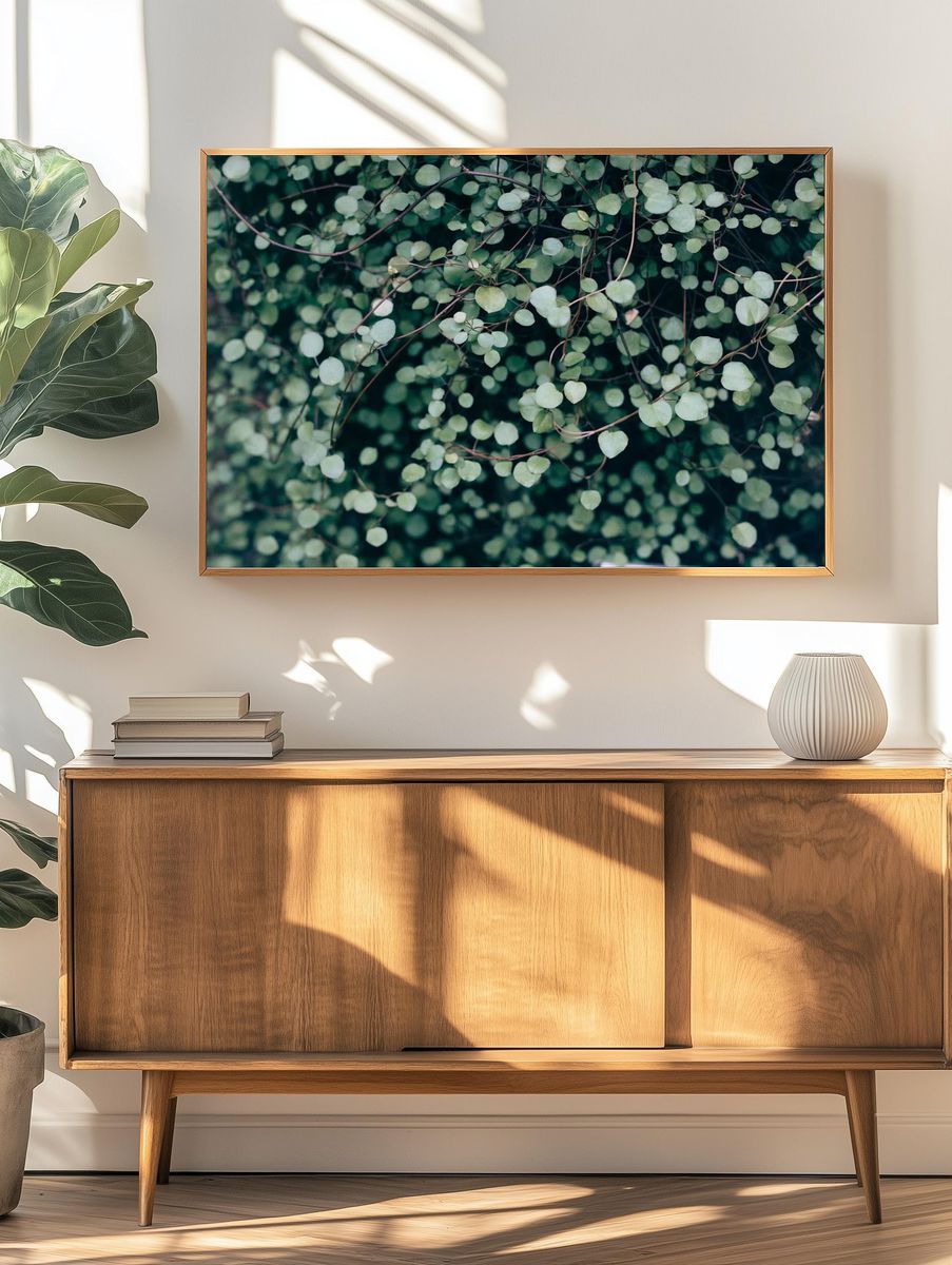 Green leafed plant. — room view 3