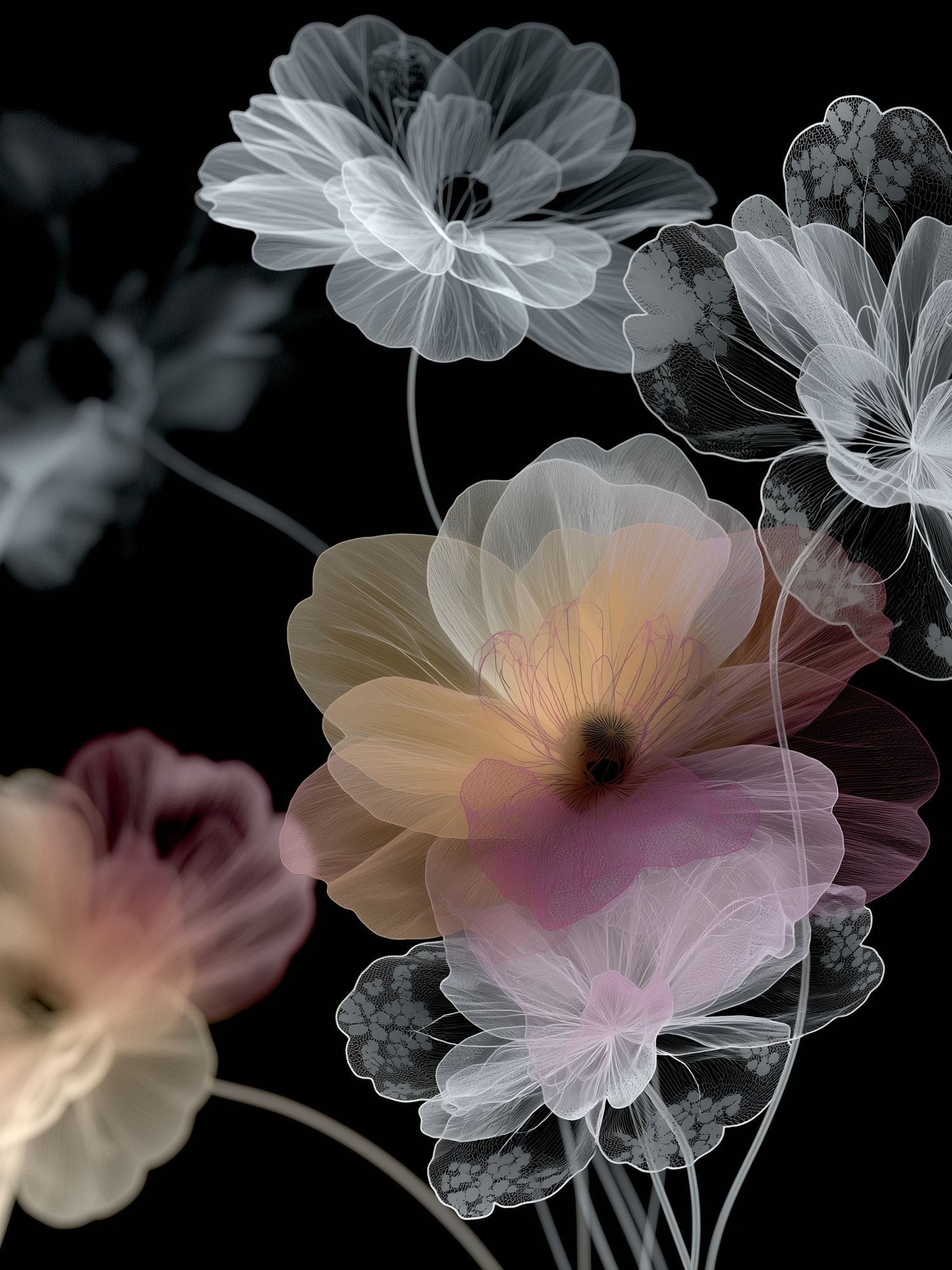 Translucent Floral Abstract Poster. poster detail