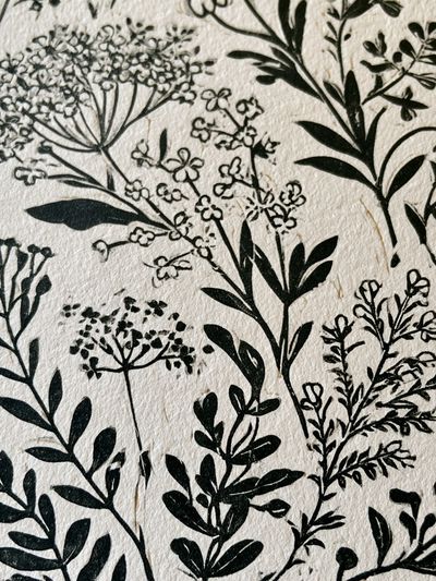 Wild Meadow Botanical Print.