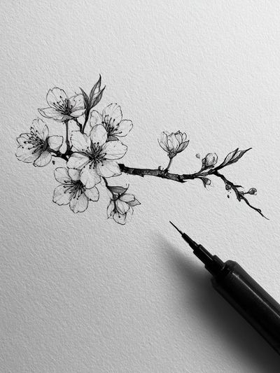 Cherry Blossom Ink Poster.