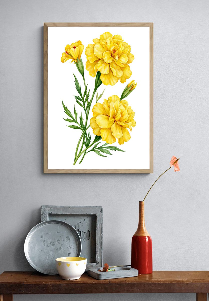 Yellow Marigold Botanical Print. — room view 3