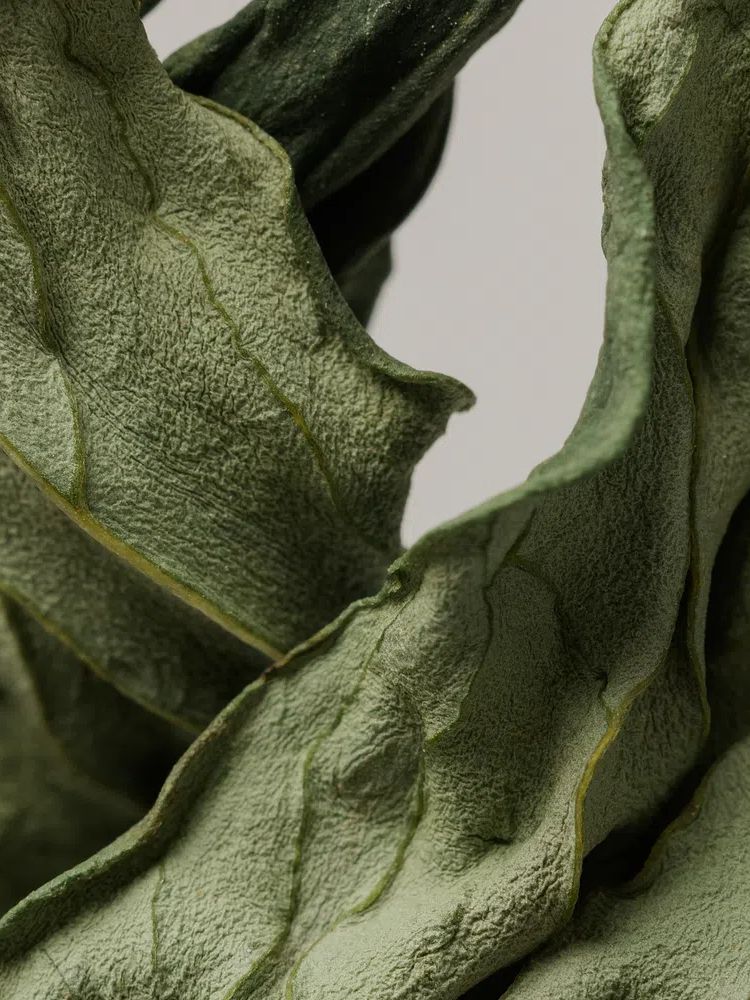 Dried peony leaf gray background. poster detail