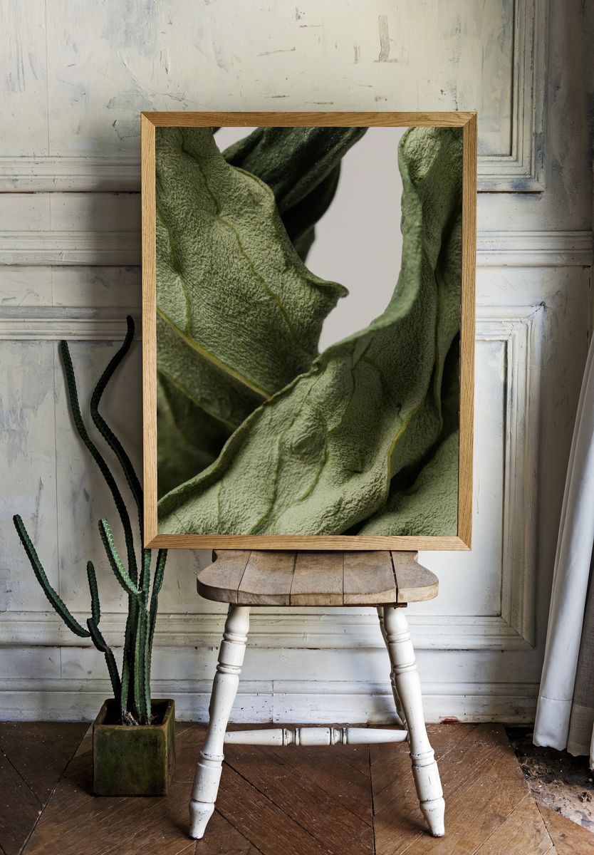 Dried peony leaf gray background. — room view 1