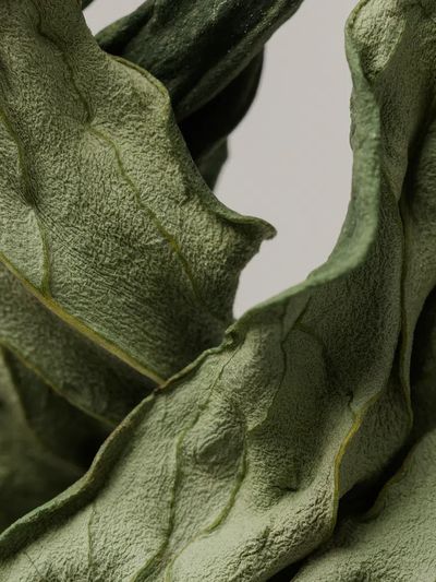 Dried peony leaf gray background.