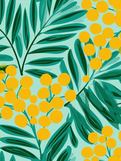 Mimosa Leaves Botanical Print.
