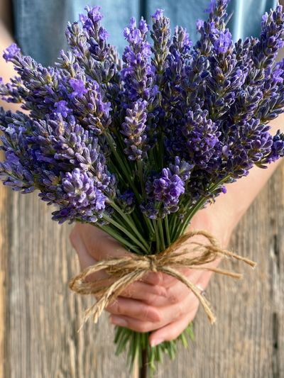 Lavender Bouquet Photography Poster. poster