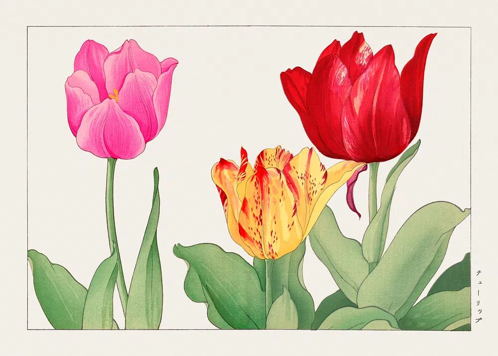 Tulip, Japanese woodblock art. Digitally. poster detail