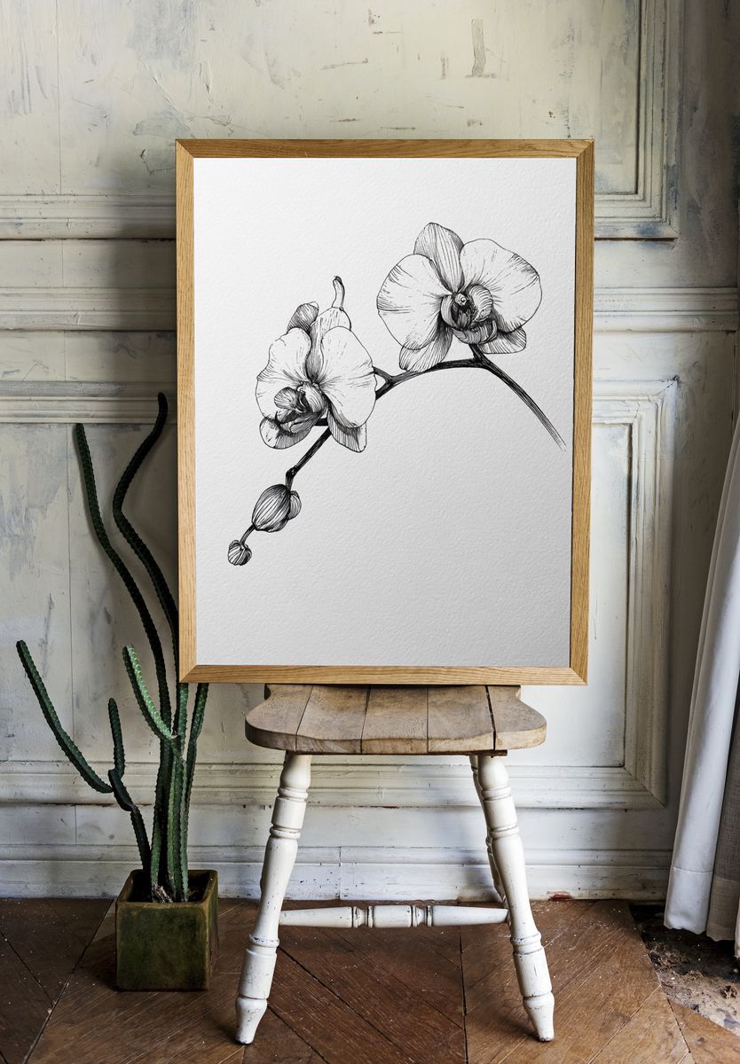 Orchid Line Art Poster. room preview