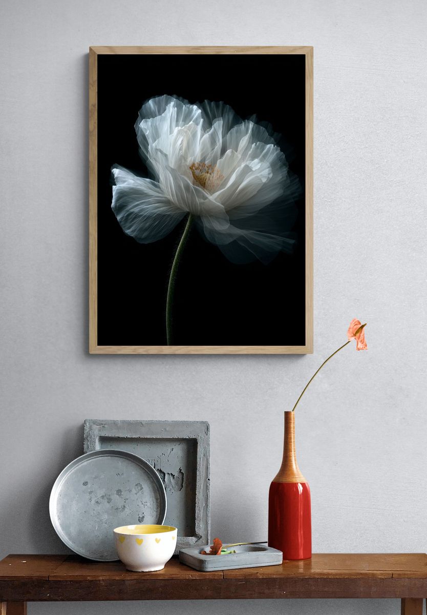 White Poppy Bloom Photography Poster. — room view 3