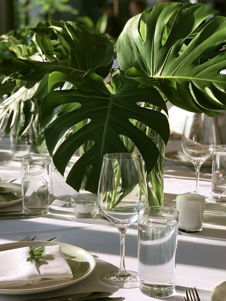 Monstera Table Setting Botanical Print. poster — botanical art