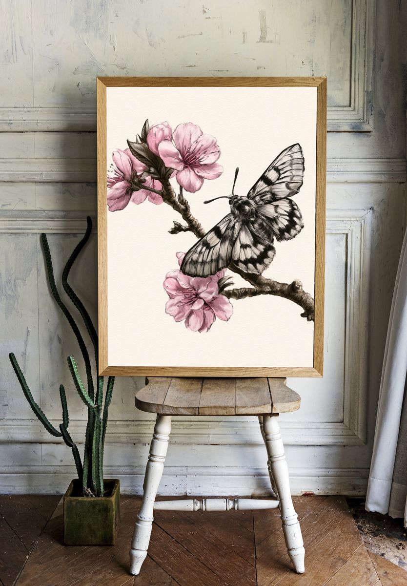 Cherry Blossom Butterfly Illustration Poster. — room view 1