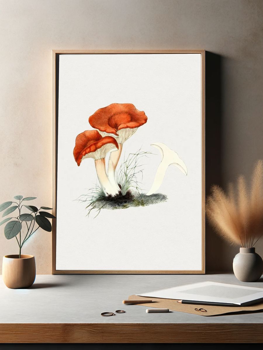 Hand drawn rufous milkcap mushroom. — room view 2