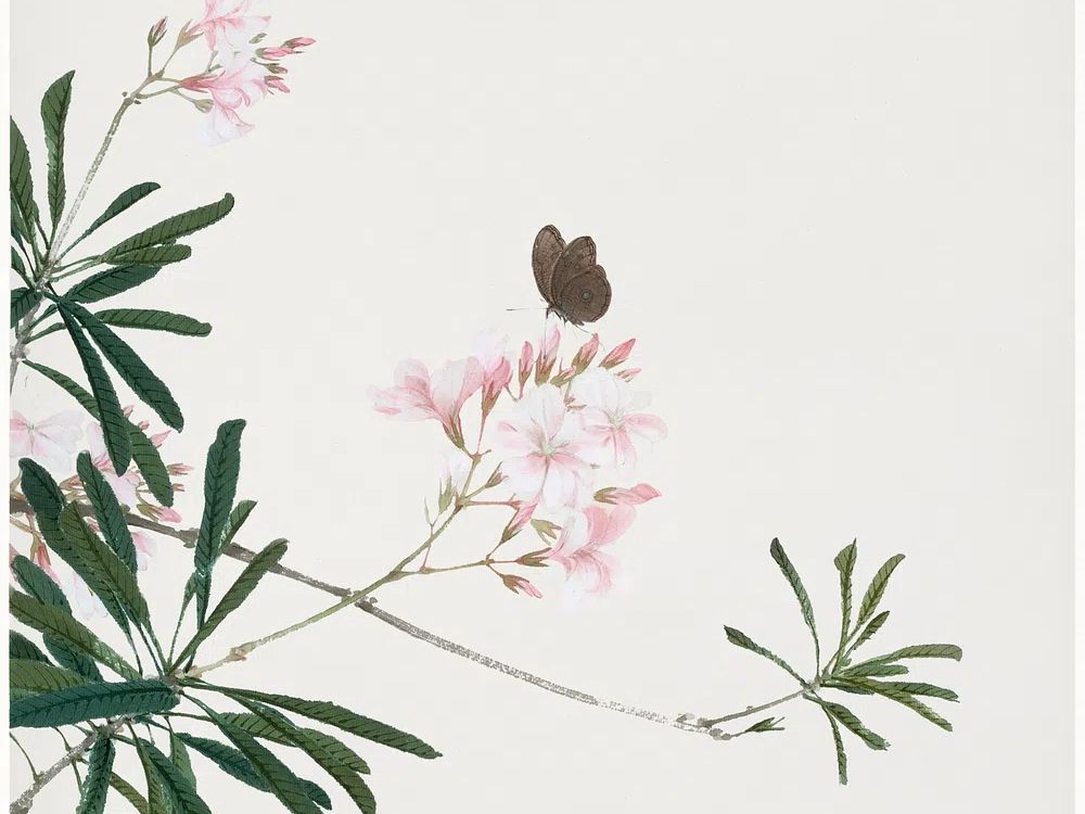 E.A. Séguy 's vintage butterflies. poster detail