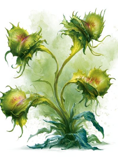 Green Carnivorous Plant Illustration Poster.