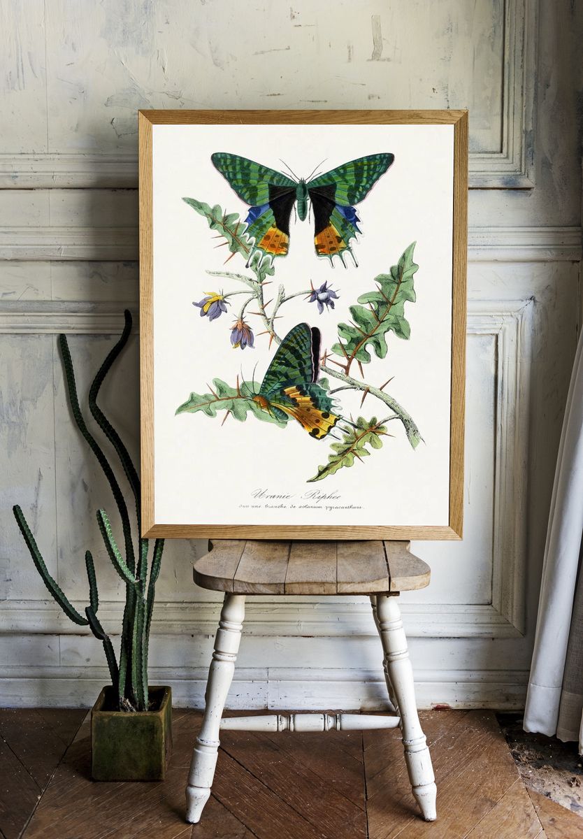 Tropical Leaf Collage Botanical Print. room preview