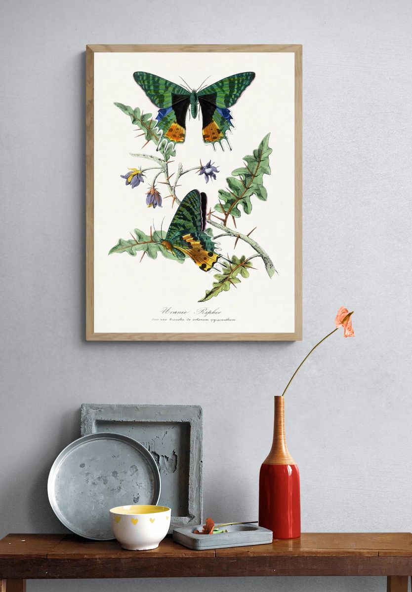 Tropical Leaf Collage Botanical Print. — room view 3