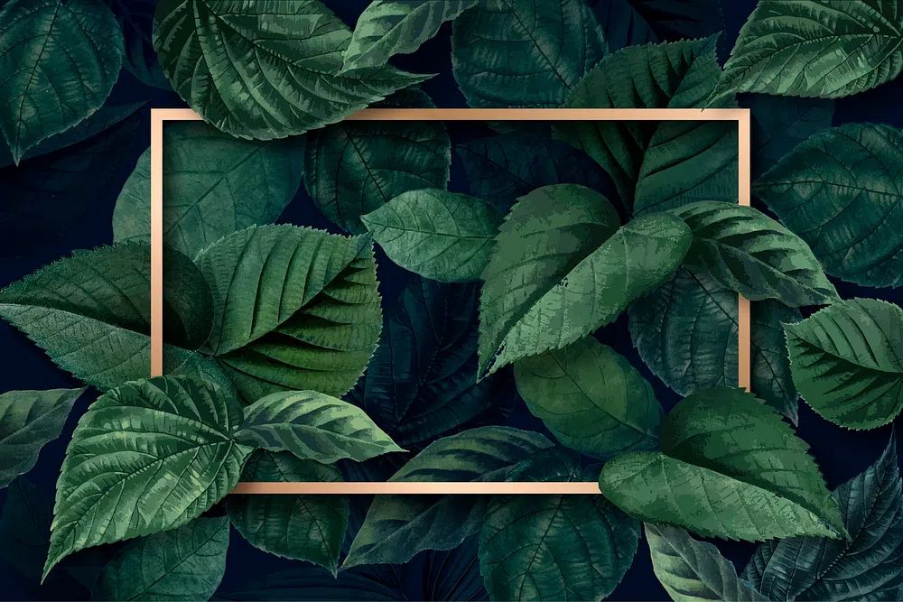 Gold rectangle frame metallic green. poster detail