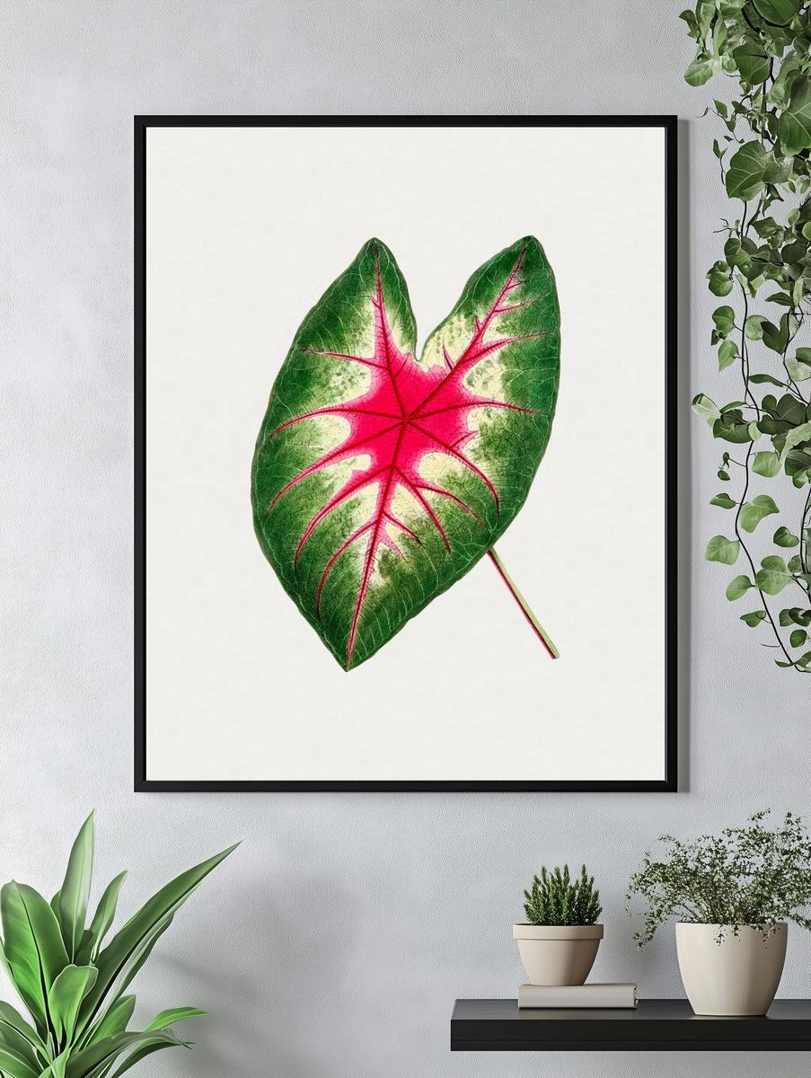 Hand drawn caladium rosebud leaf. — room view 4