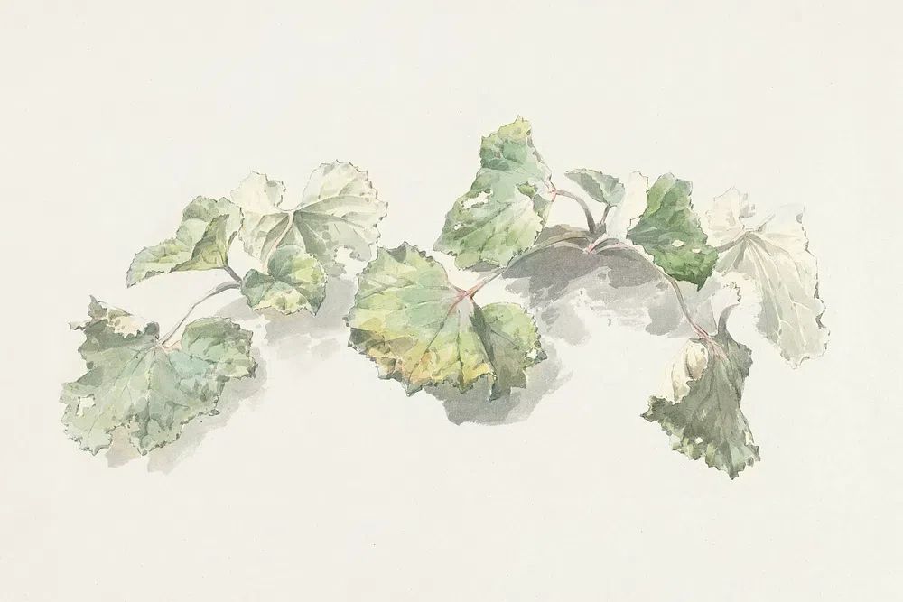 Soft Green Leaves Watercolor Print. poster — botanical art