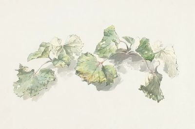 Soft Green Leaves Watercolor Print. poster