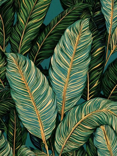 Tropical Palm Leaves Botanical Poster.