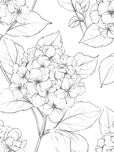 Hydrangea Bloom Line Art Poster.
