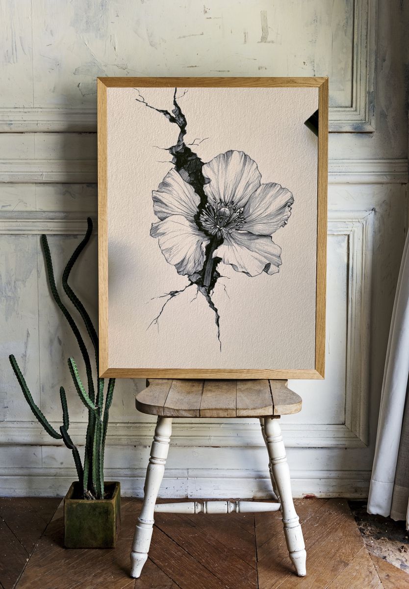 Cracked Poppy Botanical Print. room preview
