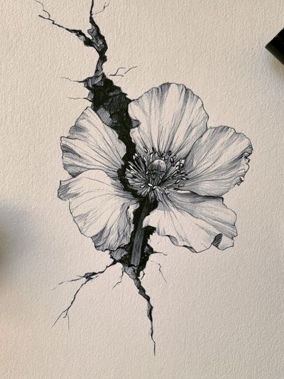 Cracked Poppy Botanical Print.