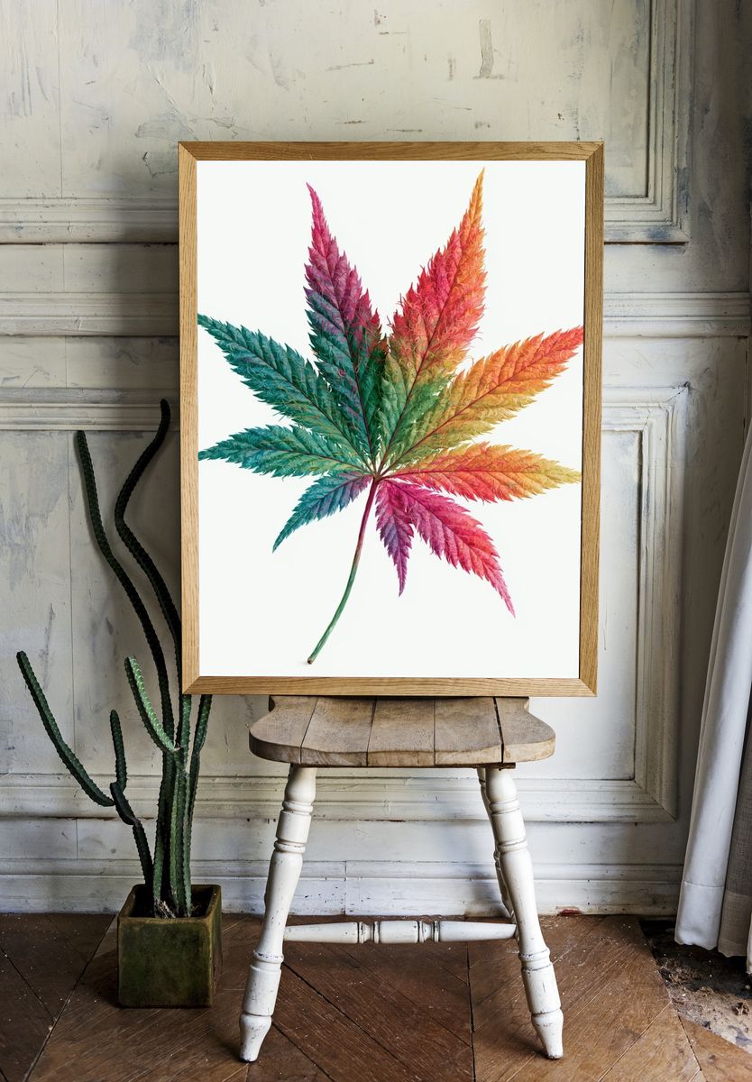 Rainbow Leaf Botanical Print. — room view 1