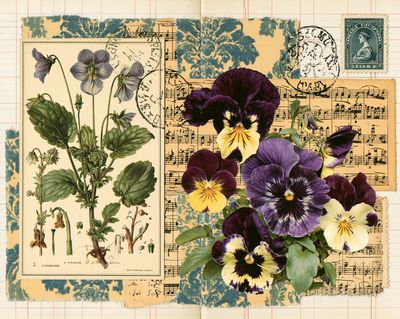 Vintage Pansy Collage Print.