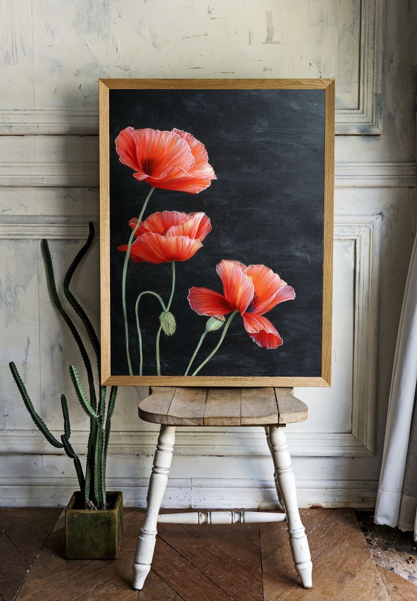 Red Poppies Botanical Print. — room view 1