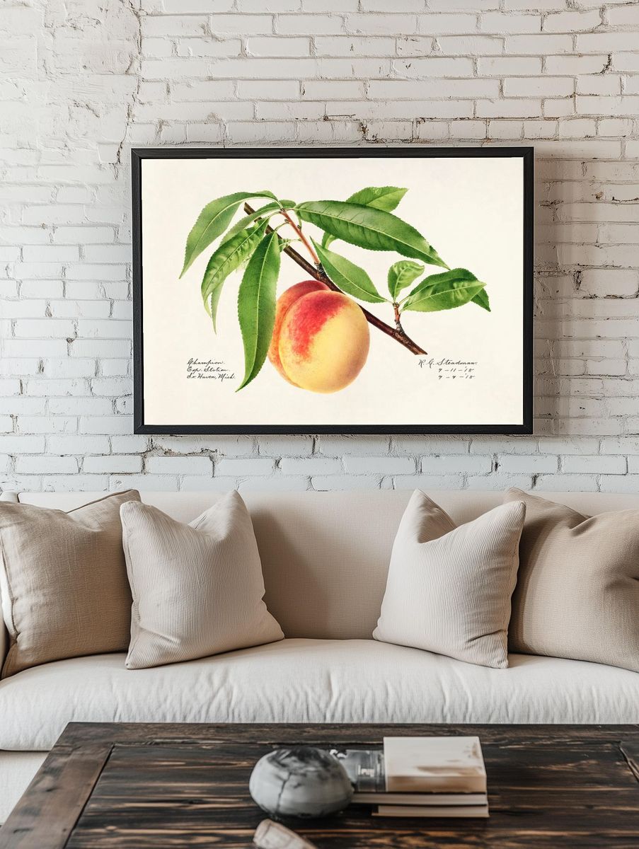 Peach Twig (Prunus Persica) (1918). room preview