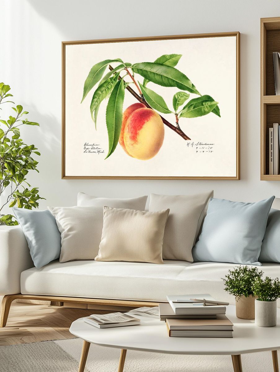 Peach Twig (Prunus Persica) (1918). — room view 2