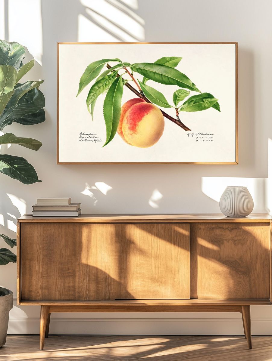 Peach Twig (Prunus Persica) (1918). — room view 3