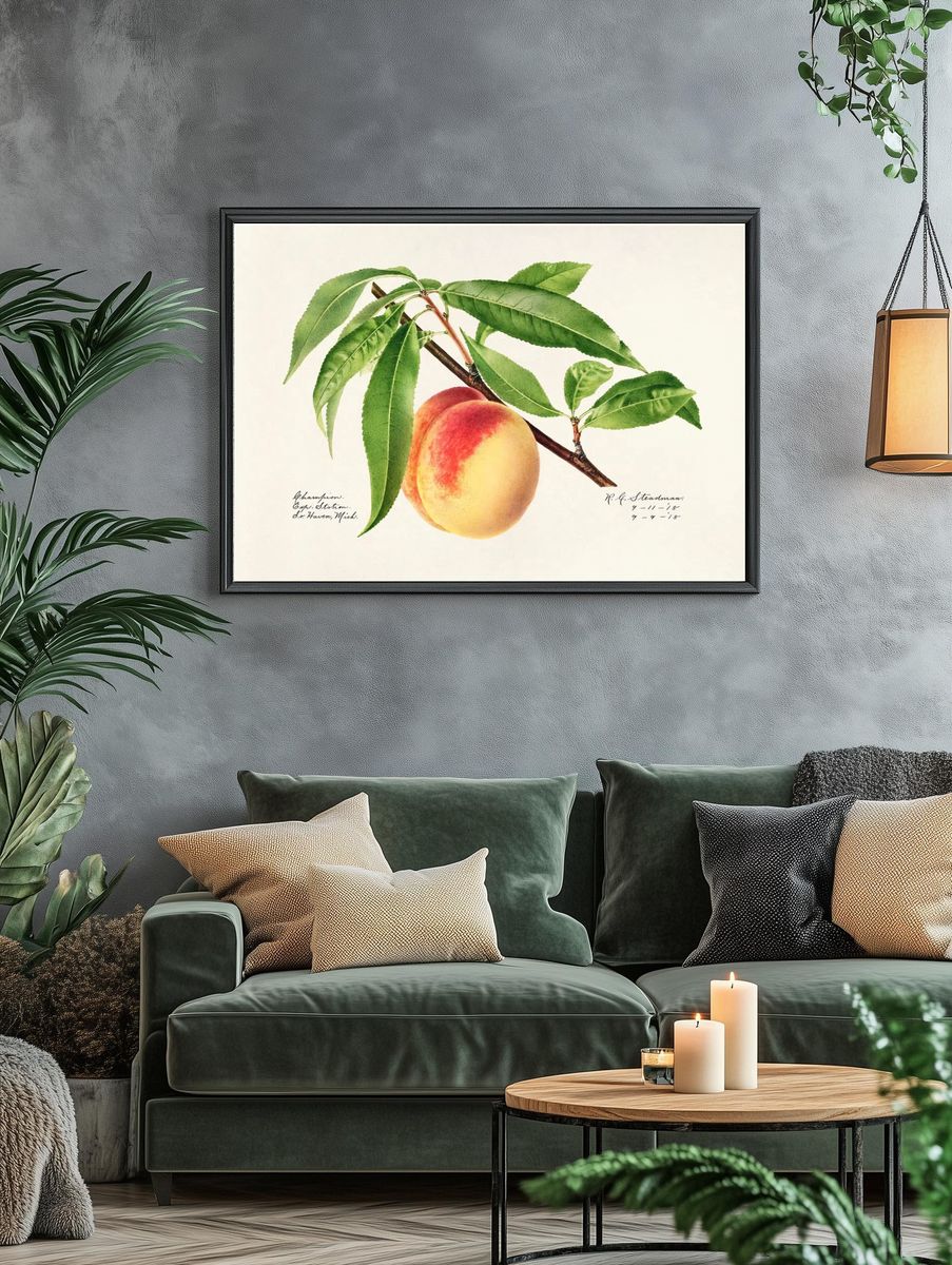 Peach Twig (Prunus Persica) (1918). — room view 4