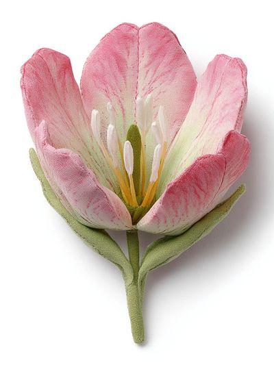 Pink Tulip Botanical Print.
