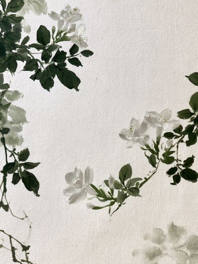White Blossom Botanical Print. poster