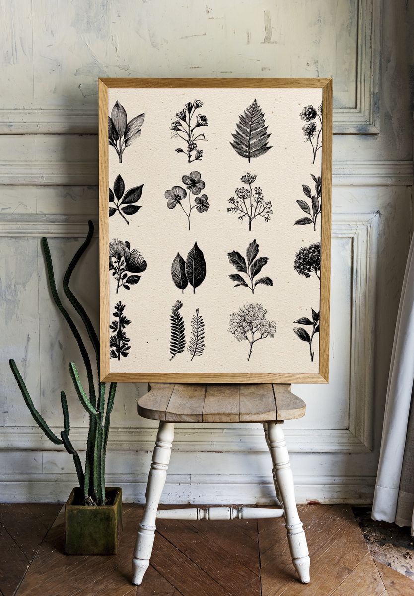 Botanical Ink Study Poster. — room view 1