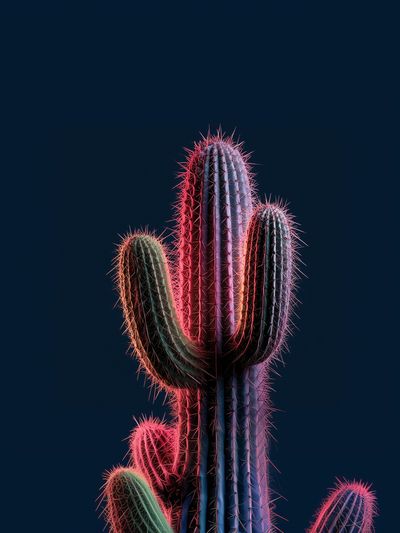 Neon Cactus Botanical Print.