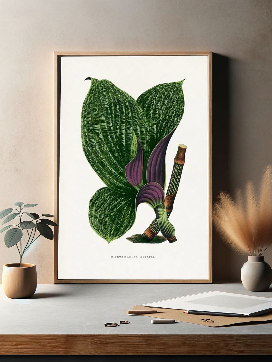 Green Dichorisandra Mosaica leaf illustration. — room view 2