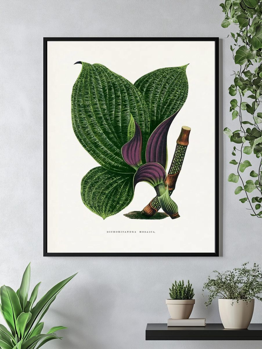 Green Dichorisandra Mosaica leaf illustration. — room view 4