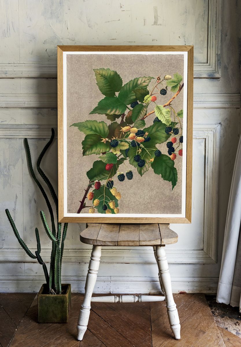 Blackberries (1887) high resolution L. room preview