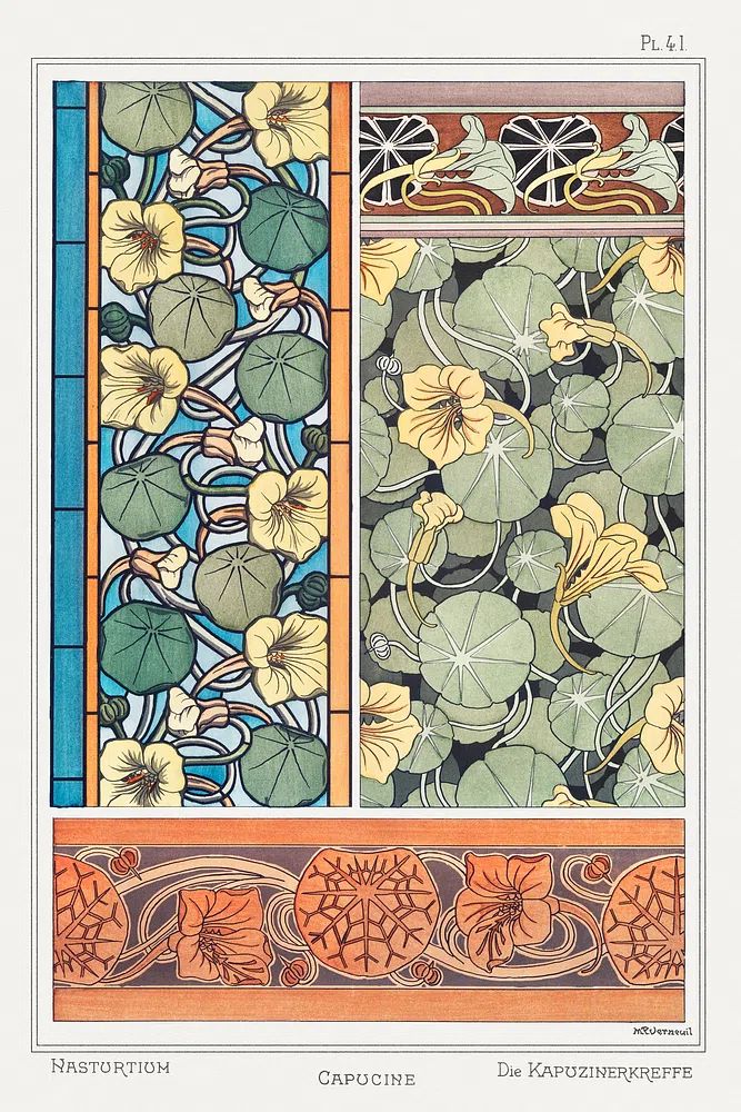 Capucine (nasturtium) La Plante et. poster detail
