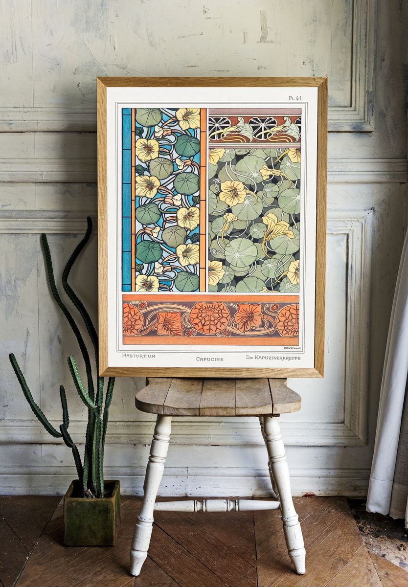 Capucine (nasturtium) La Plante et. — room view 1