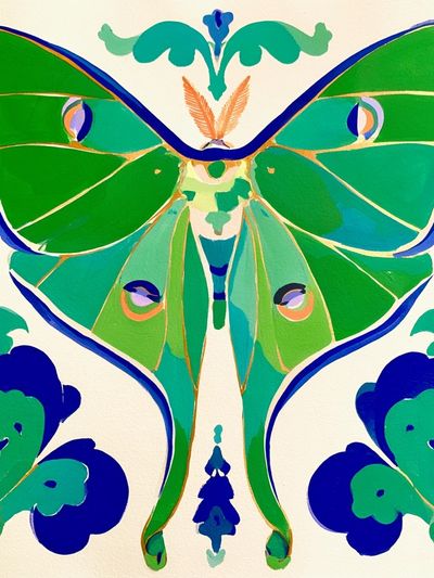Moth Botanical Illustration Poster. poster
