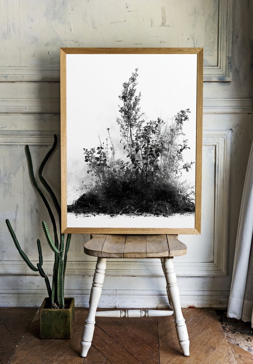 Botanical Ink Study Poster. — room view 1
