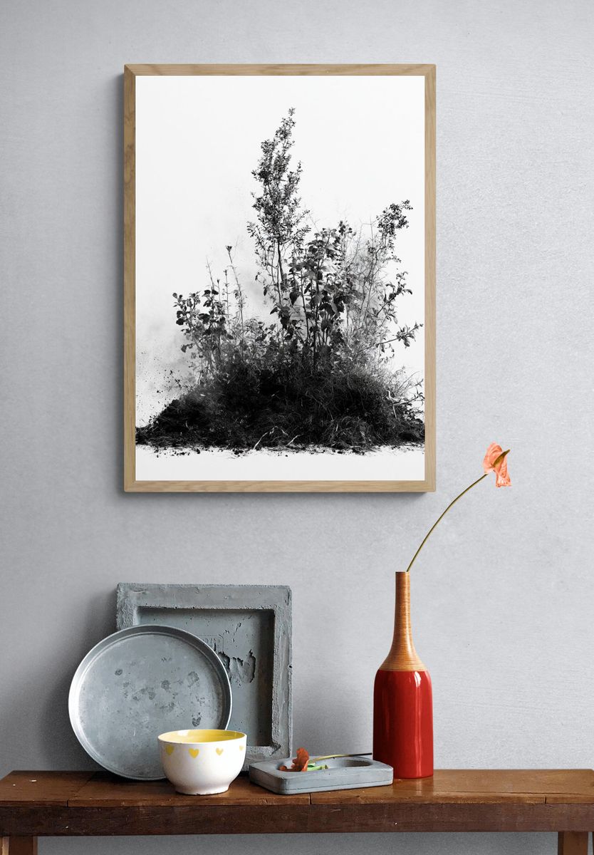 Botanical Ink Study Poster. — room view 3