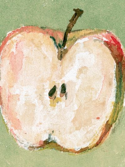 Watercolor Apple Botanical Print.