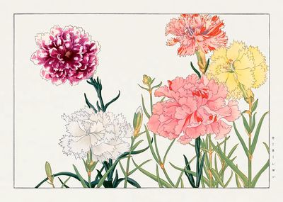 Carnation flower, Japanese woodblock art.
