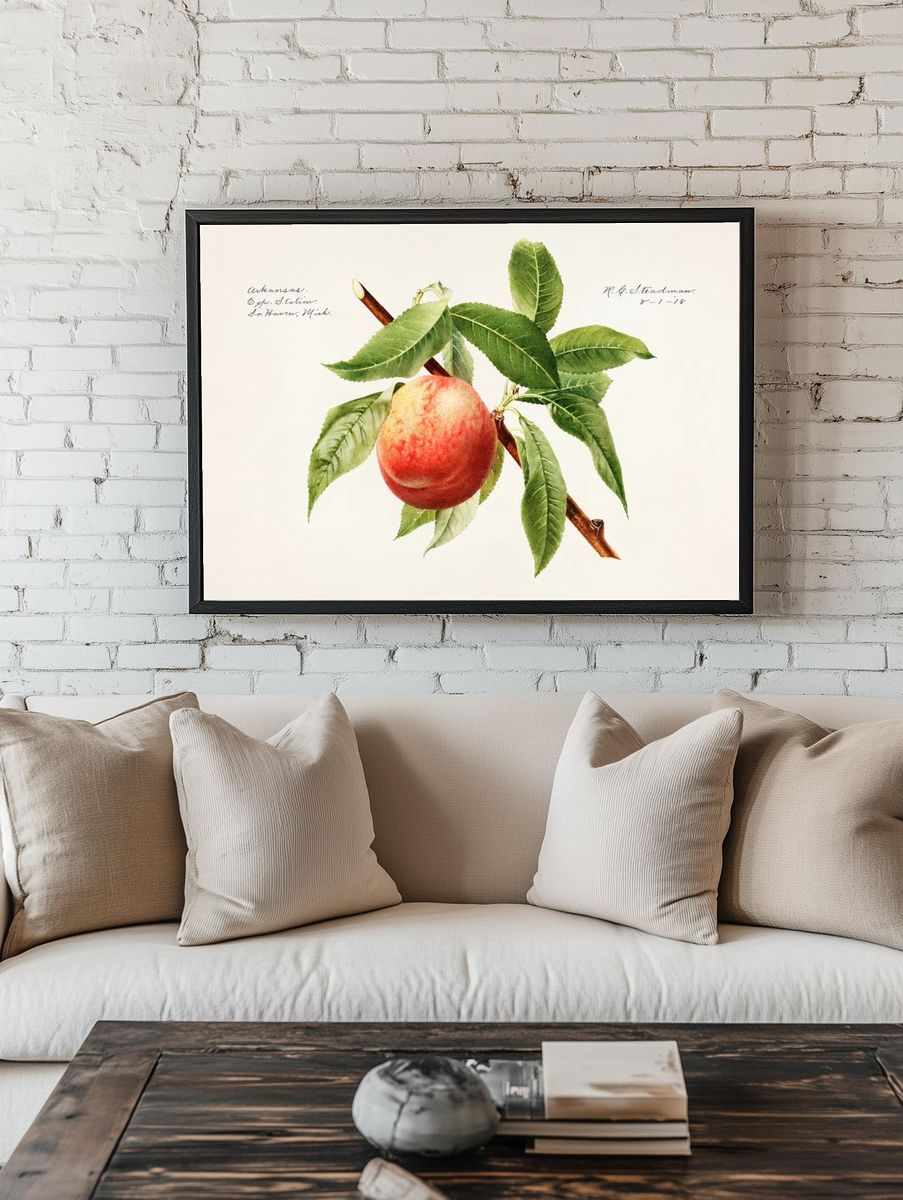 Peach bough (Prunus Persica) (1918). room preview